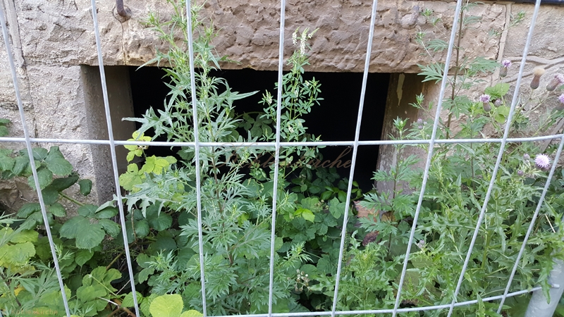 Die Grundmauer der Kohlenkirche besteht aus schönem Sandstein. - Stand Juni 2019 Kohlenkirche: Verwaltung Außen